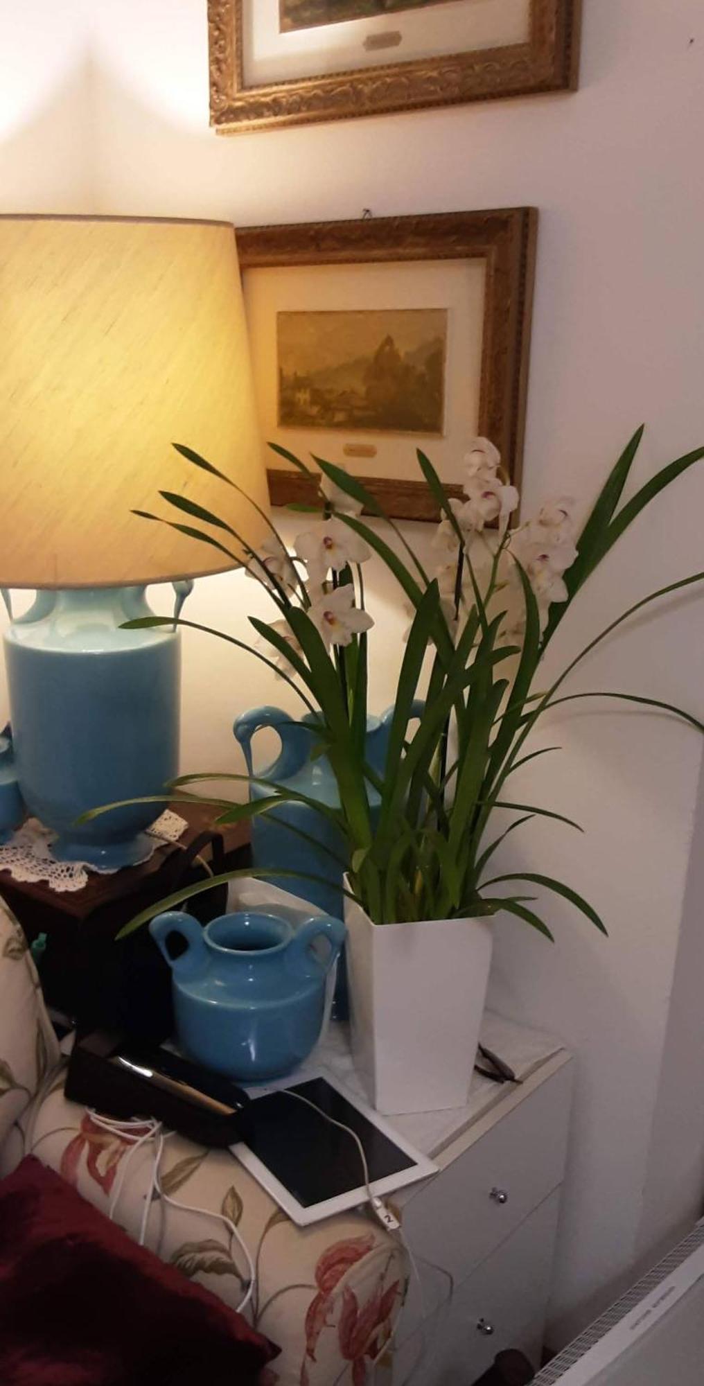 Tosca House 2 Bed & Breakfast Varenna Bagian luar foto